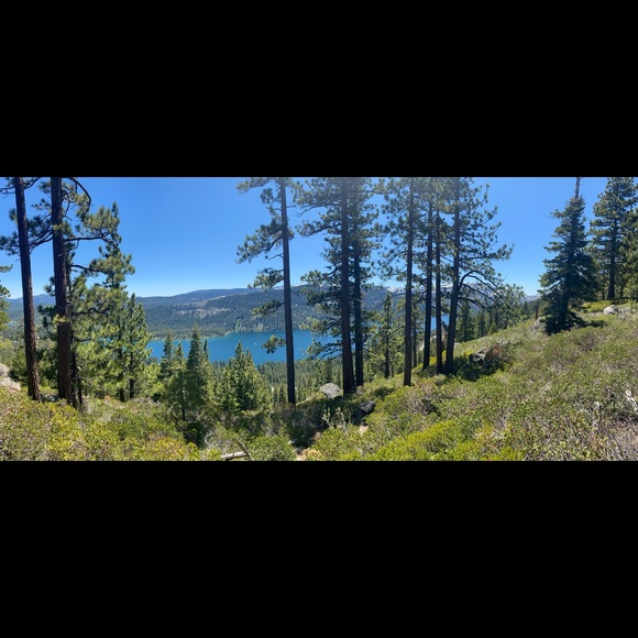 Meet your Posher, Jessica - Picture 1 of 1